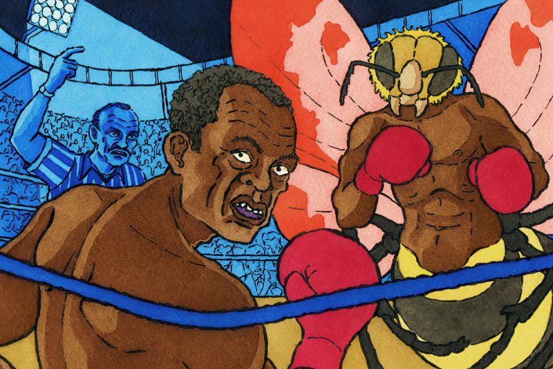 Muhammad Ali illustration